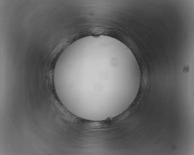 X0000110720473200906121251