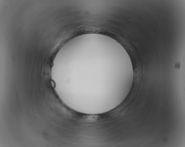 X0000110720474200906121251