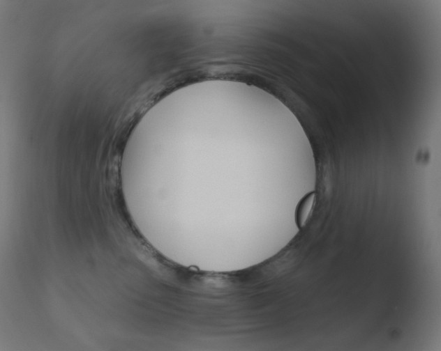 X0000110720475200906121251