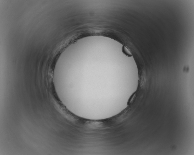 X0000110720476200906121251