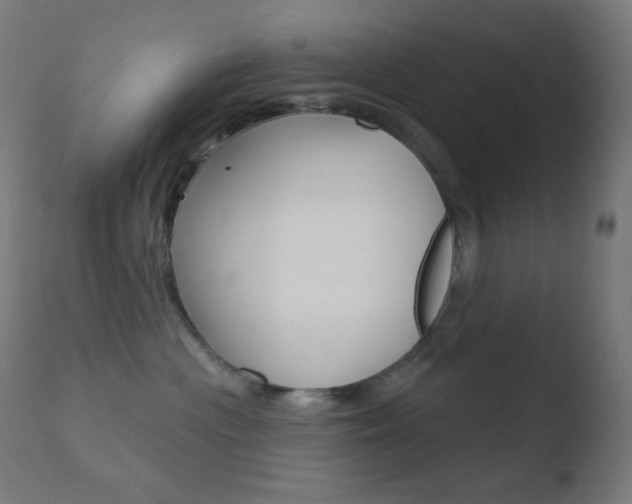 X0000110720477200906121251