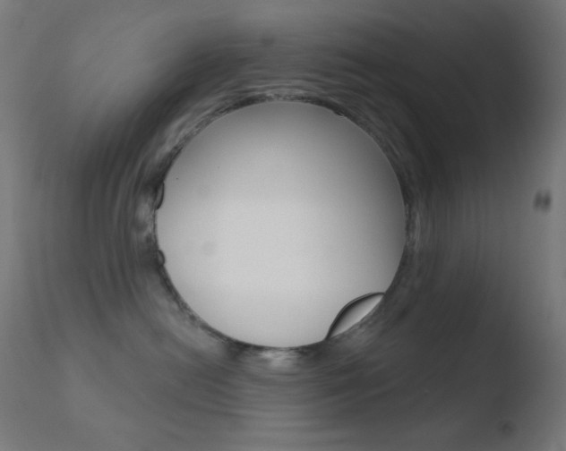 X0000110720478200906121251