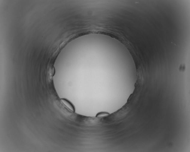X0000110720479200906121251