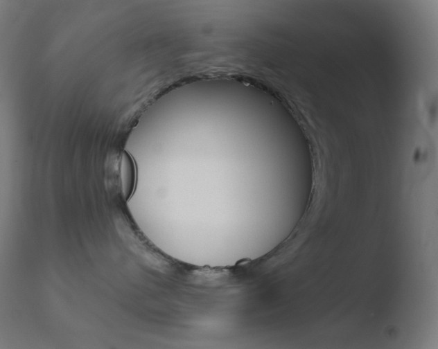 X0000110720480200906121251