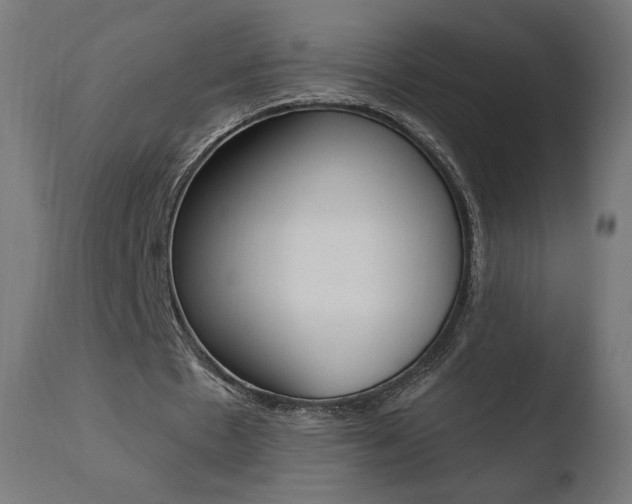 X0000110720481200906121250