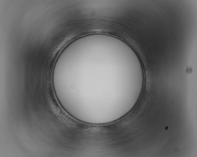 X0000110720482200906121250