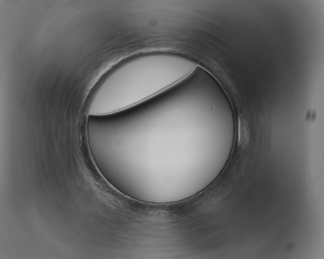 X0000110720483200906121250
