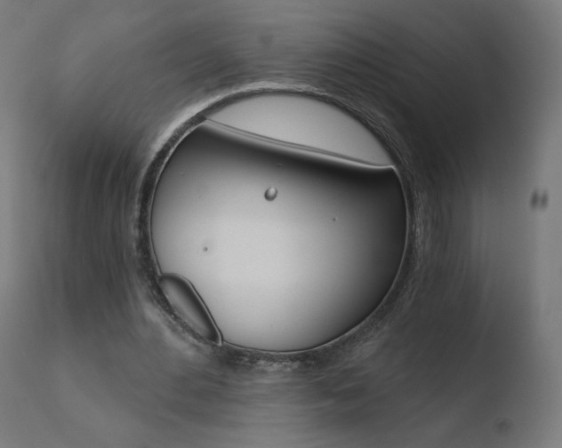 X0000110720484200906121250