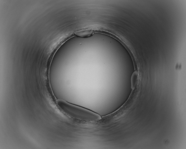 X0000110720485200906121250