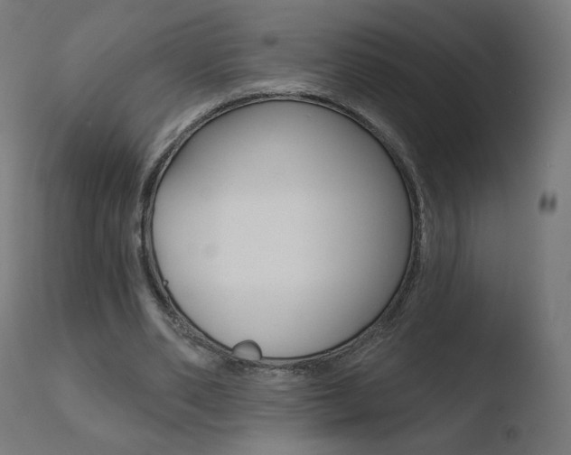 X0000110720486200906121250