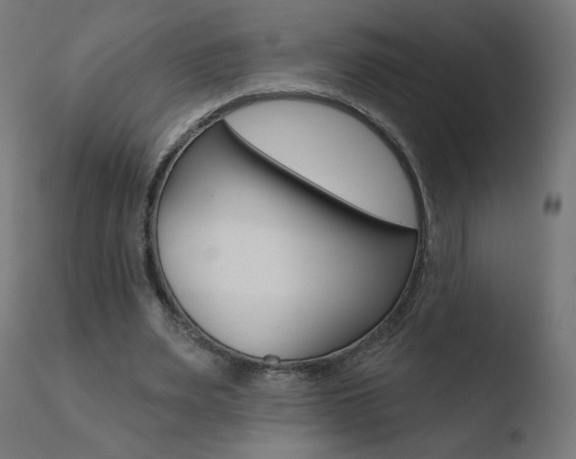X0000110720487200906121250