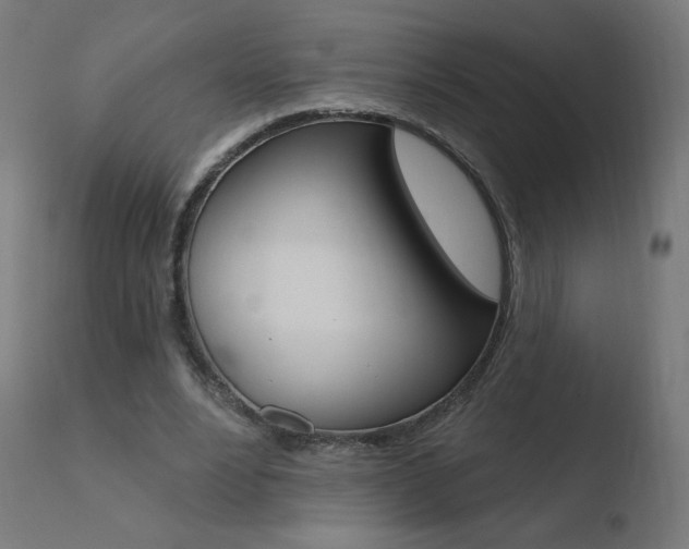 X0000110720488200906121250