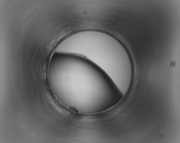 X0000110720489200906121250