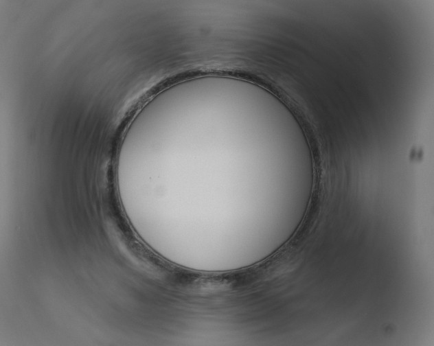 X0000110720491200906121250