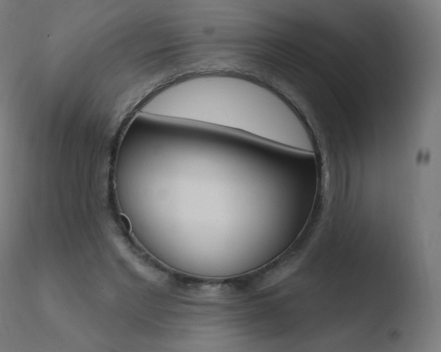 X0000110720493200906121250