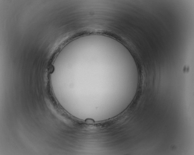 X0000110720494200906121250