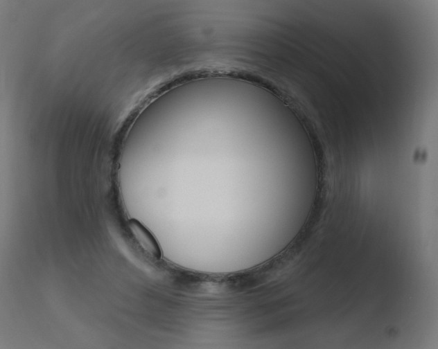 X0000110720496200906121250