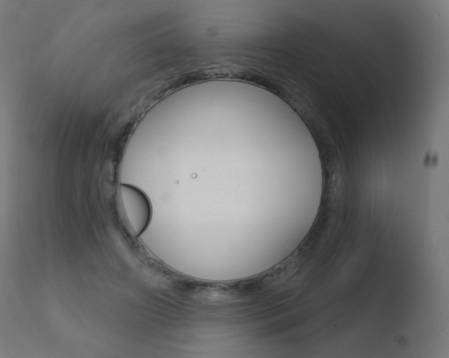 X0000110720498200906121250
