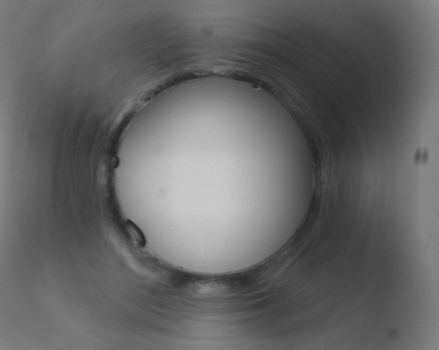 X0000110720500200906121250