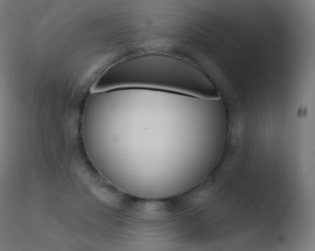 X0000110720501200906121250