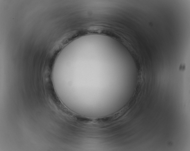 X0000110720504200906121250
