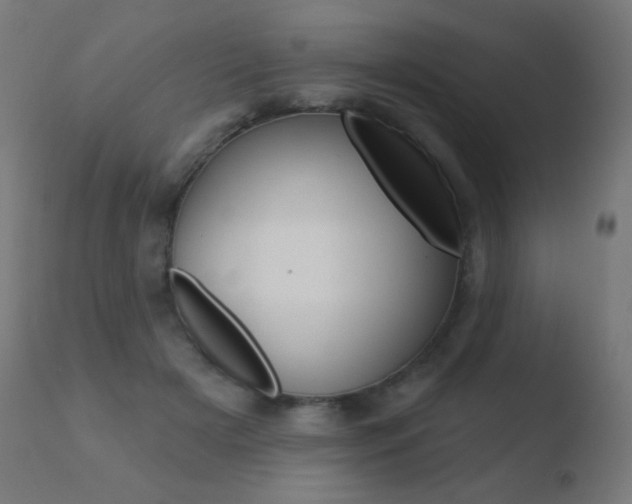 X0000110720505200906121250