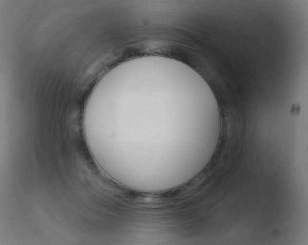 X0000110720506200906121250
