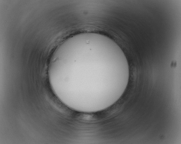 X0000110720507200906121250