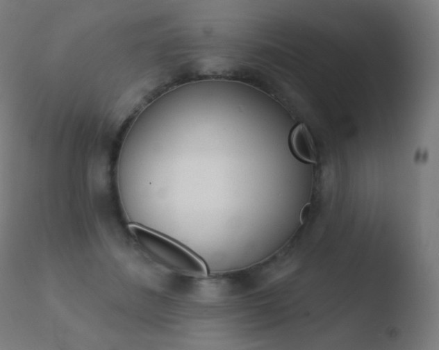 X0000110720508200906121250