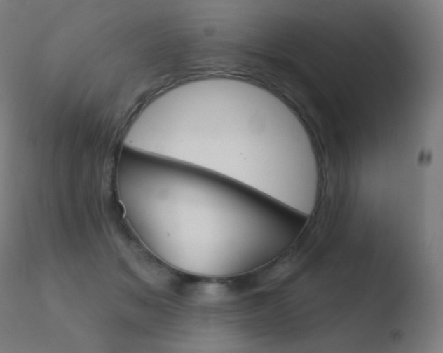 X0000110720509200906121250
