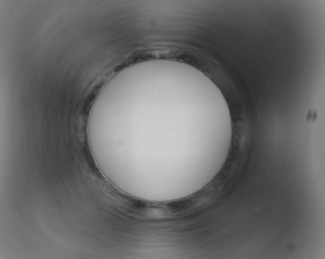 X0000110720510200906121250