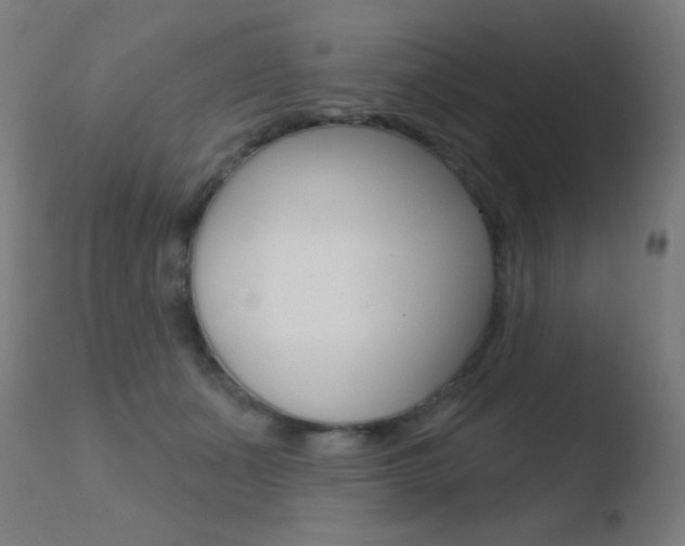 X0000110720511200906121250