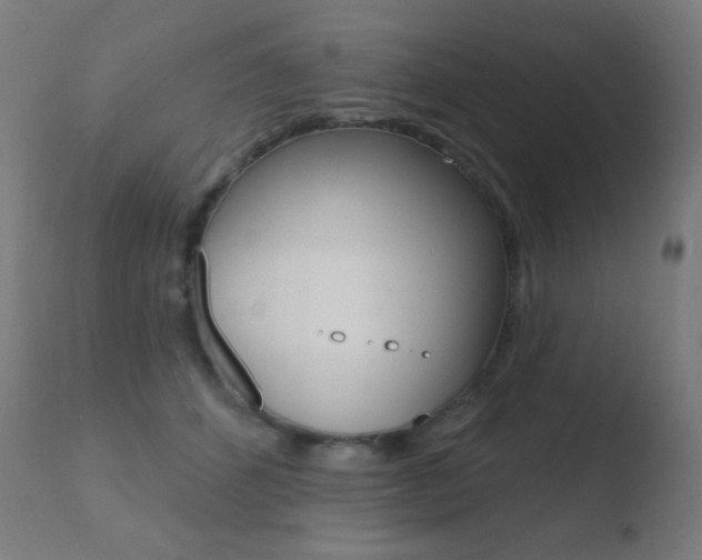 X0000110720512200906121250