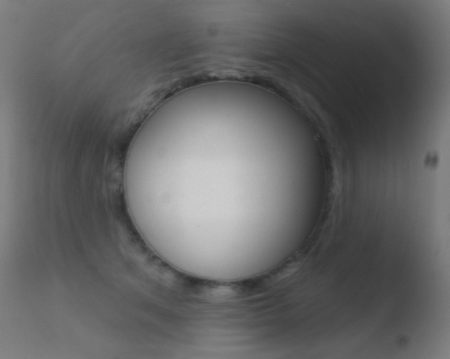 X0000110720513200906121250