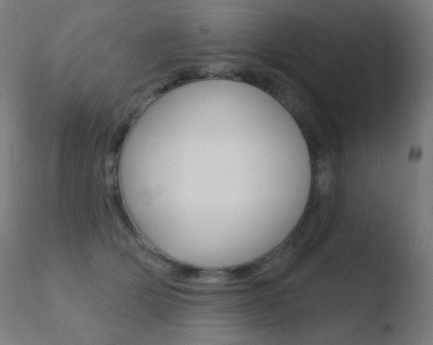 X0000110720514200906121250