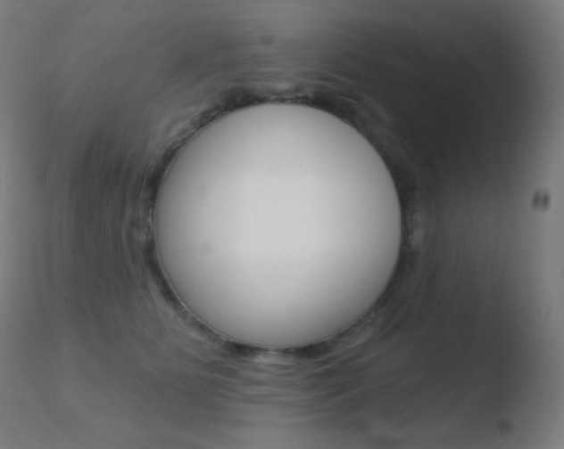 X0000110720515200906121250