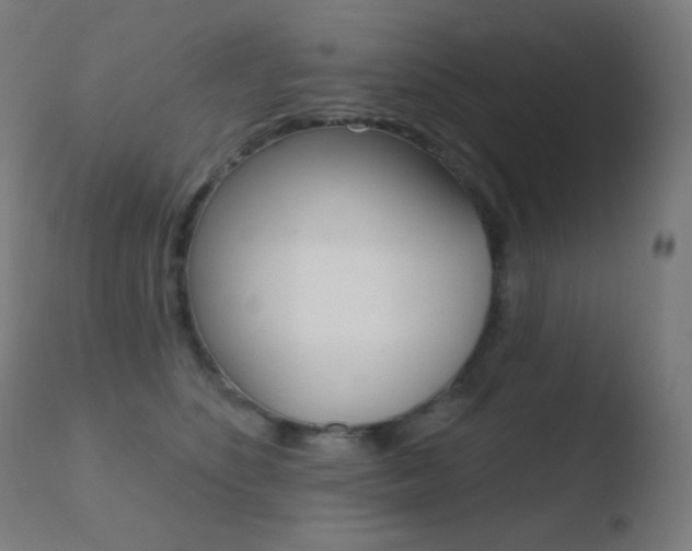 X0000110720516200906121250