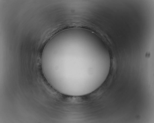 X0000110720517200906121250