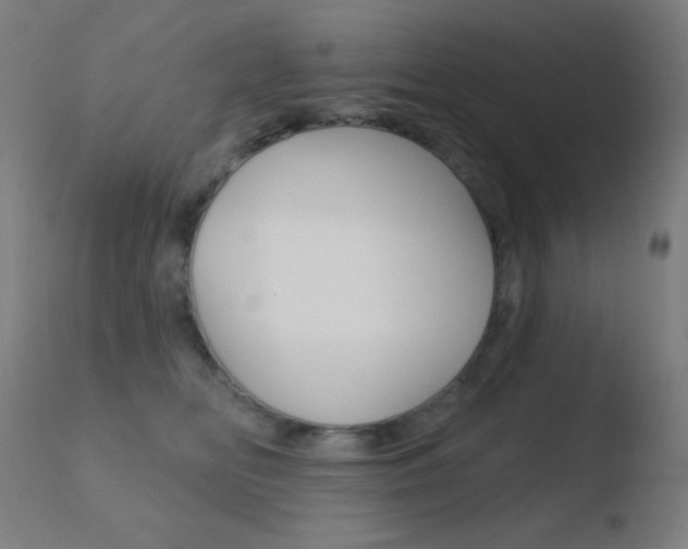X0000110720518200906121250