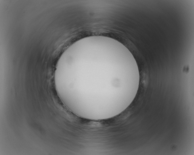 X0000110720519200906121250