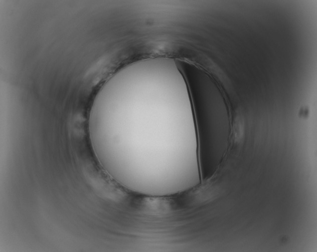 X0000110720520200906121250