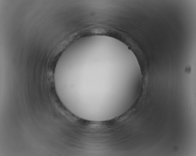 X0000110720521200906121250