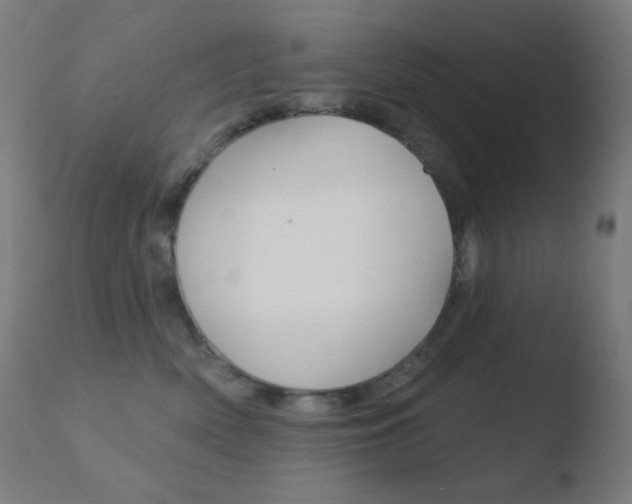 X0000110720522200906121250