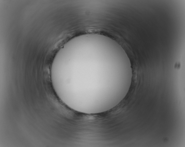 X0000110720523200906121250