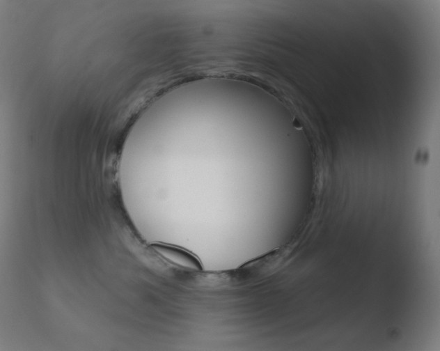 X0000110720525200906121250