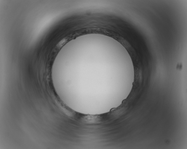 X0000110720526200906121250