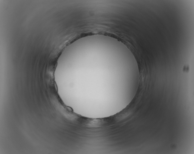 X0000110720527200906121250