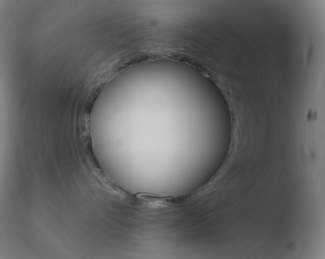 X0000110720528200906121250