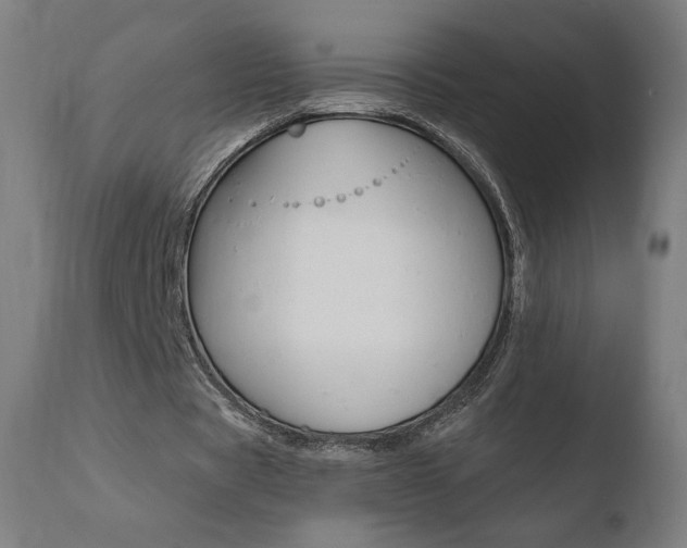 X0000110720529200906121249