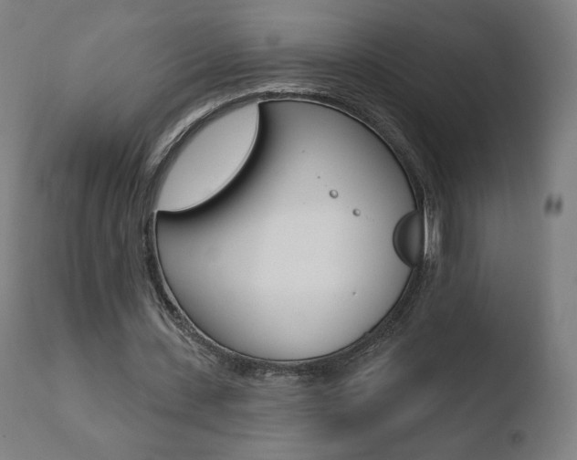X0000110720531200906121249